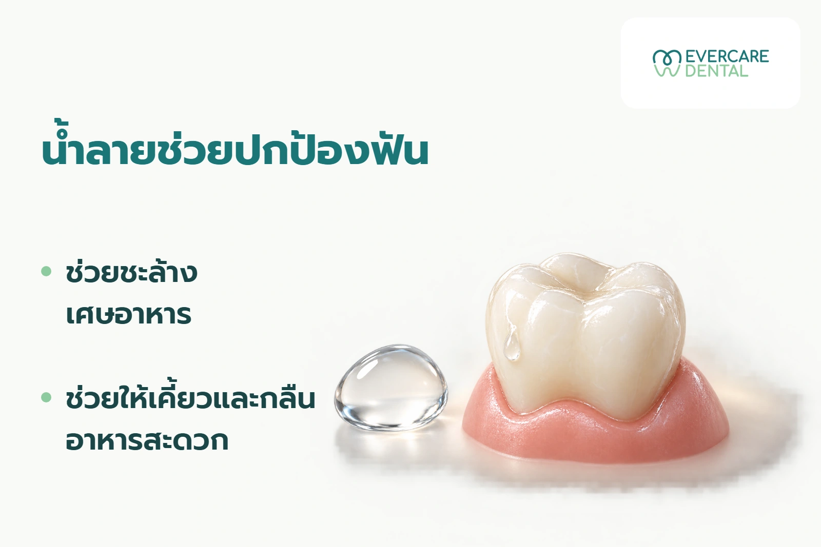 โมเดลฟันสามมิติเชิงแนวคิดพร้อมหยดแทนน้ำลาย ประกอบคำอธิบายว่าน้ำลายช่วยปกป้องฟัน ชะล้างเศษอาหาร และช่วยให้เคี้ยวและกลืนสะดวก