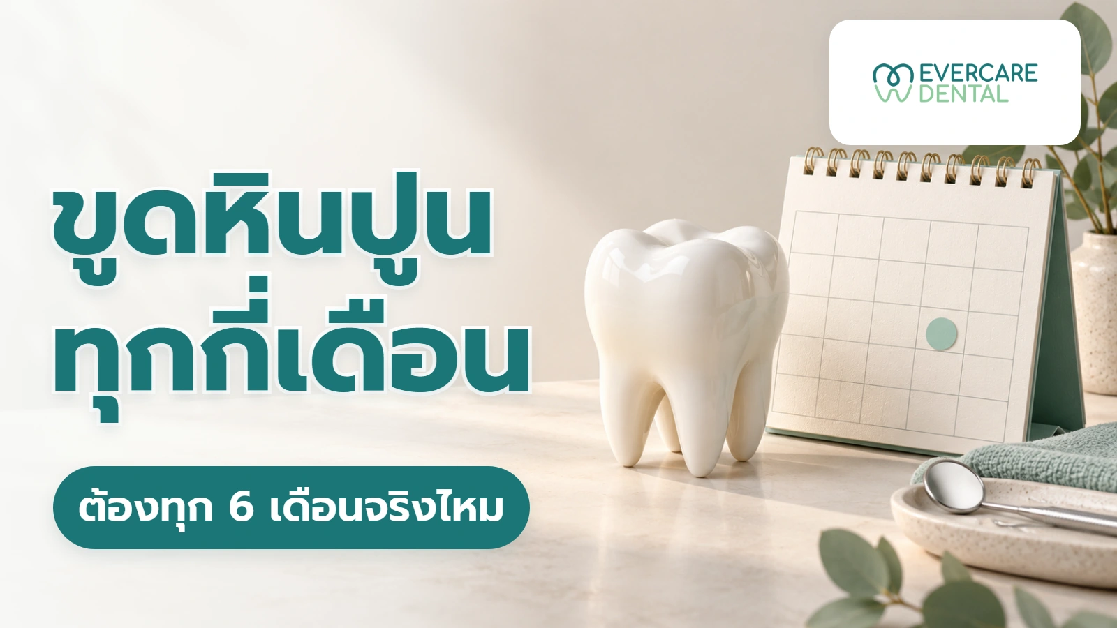 ขูดหินปูนทุกกี่เดือน ต้องทุก 6 เดือนจริงไหม