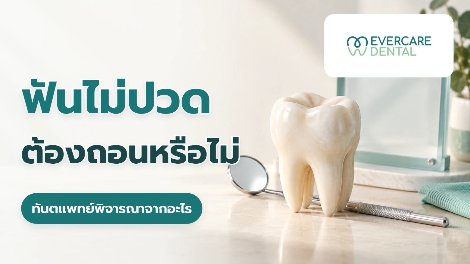 ฟันไม่ปวดต้องถอนหรือไม่ ทันตแพทย์พิจารณาจากอะไร ภาพจำลองโมเดลฟันสามมิติ กับคำถามฟันไม่ปวดต้องถอนหรือไม่ และสิ่งที่ทันตแพทย์พิจารณา